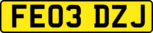 FE03DZJ