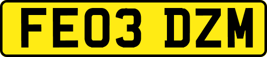 FE03DZM