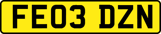 FE03DZN
