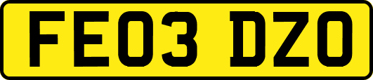 FE03DZO