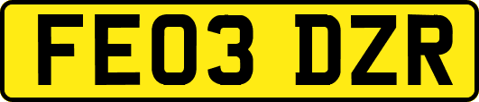 FE03DZR