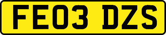FE03DZS