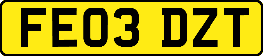 FE03DZT