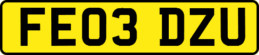 FE03DZU
