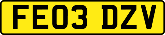 FE03DZV