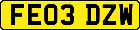 FE03DZW