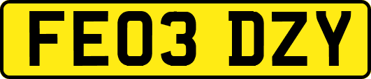 FE03DZY