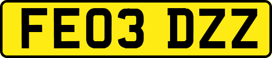FE03DZZ