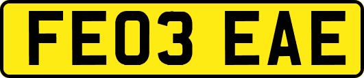 FE03EAE