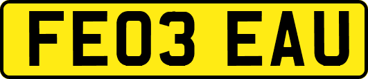 FE03EAU