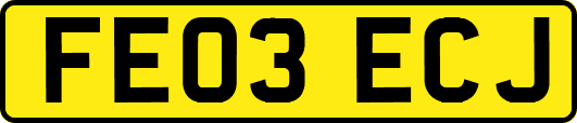 FE03ECJ