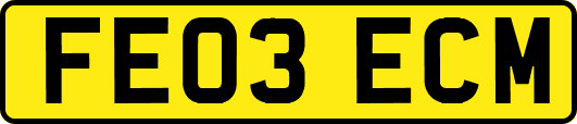 FE03ECM