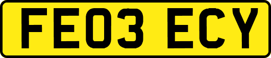 FE03ECY