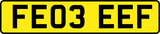 FE03EEF