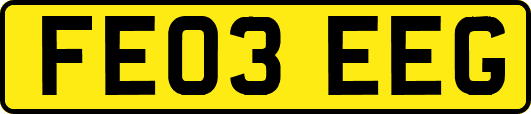 FE03EEG