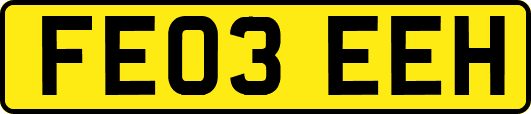 FE03EEH