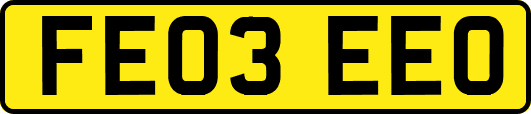 FE03EEO