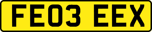 FE03EEX