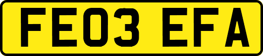 FE03EFA