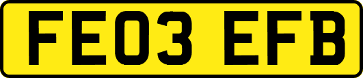 FE03EFB