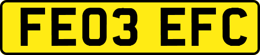 FE03EFC