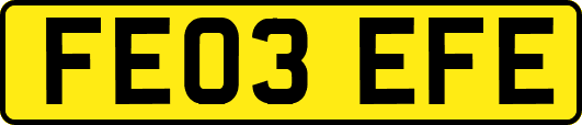 FE03EFE