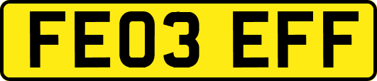 FE03EFF