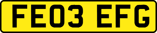 FE03EFG