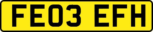 FE03EFH