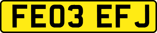 FE03EFJ
