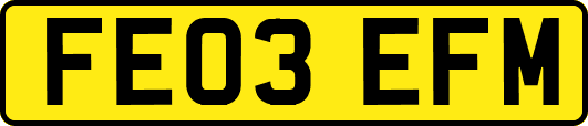 FE03EFM