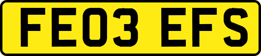 FE03EFS