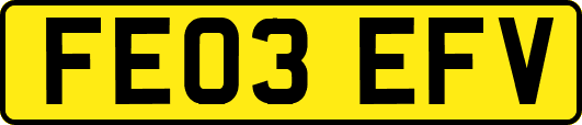 FE03EFV