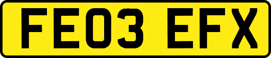 FE03EFX