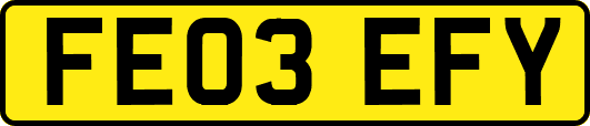 FE03EFY