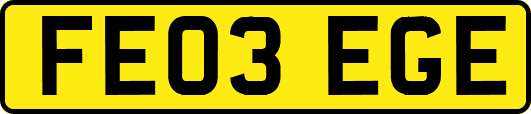 FE03EGE
