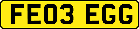 FE03EGG