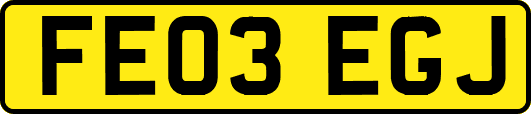 FE03EGJ