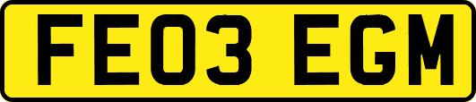 FE03EGM