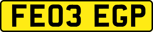 FE03EGP