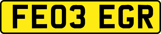 FE03EGR