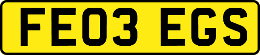 FE03EGS