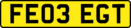 FE03EGT