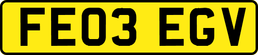 FE03EGV