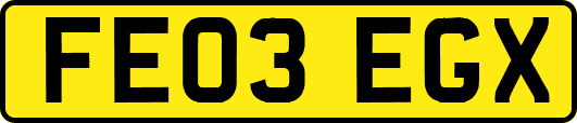 FE03EGX