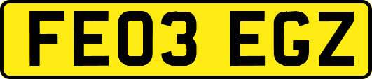 FE03EGZ