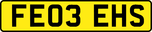 FE03EHS