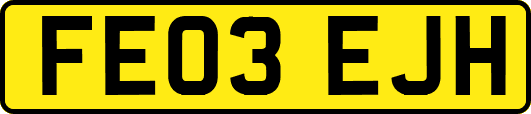 FE03EJH