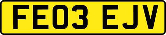 FE03EJV