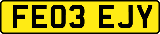 FE03EJY